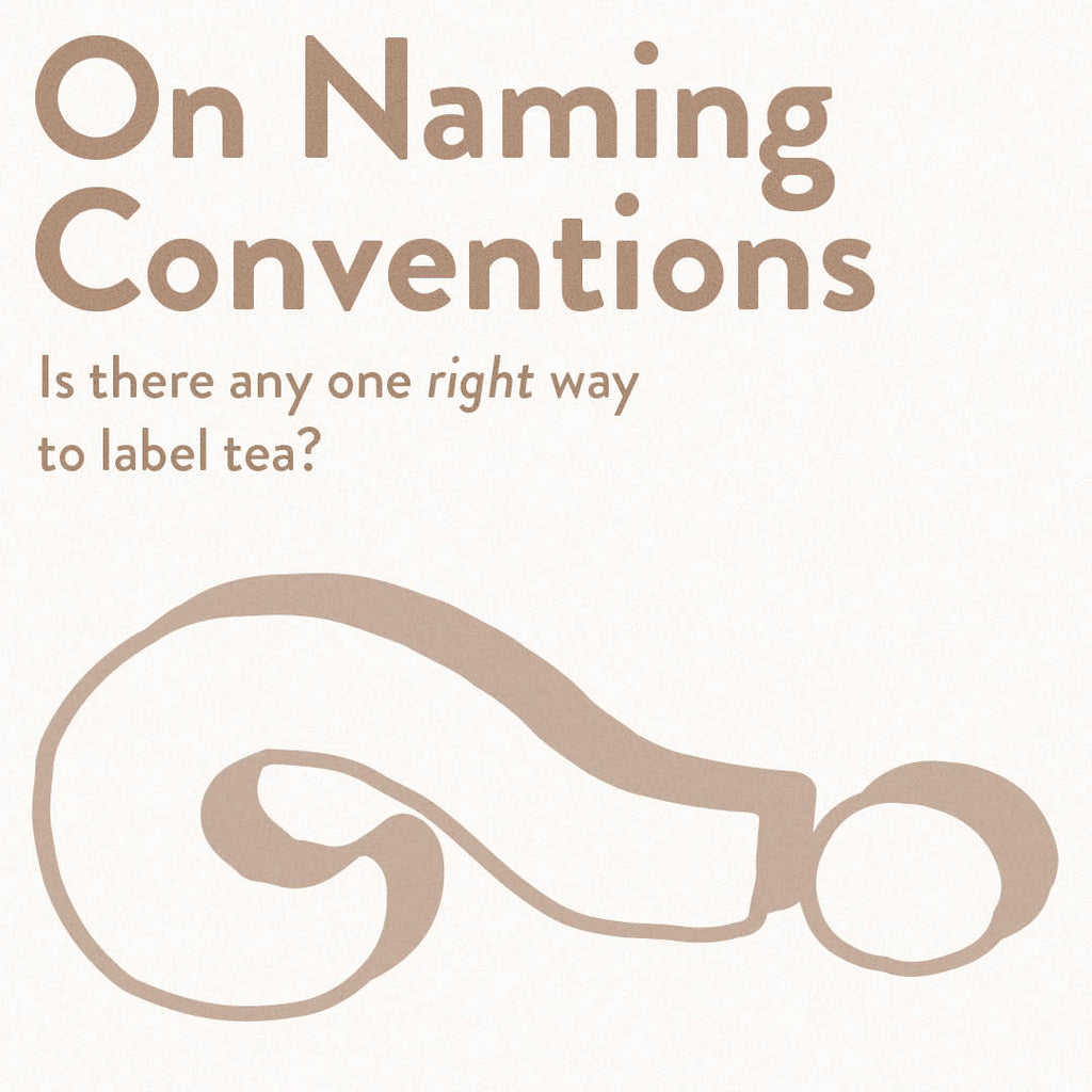 On Naming Conventions